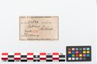 Etikett zu Bronzearmreif (NHMW-PRAE-024539)